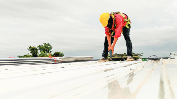 Best Roof Maintenance and Cleaning  in Ocala, FL